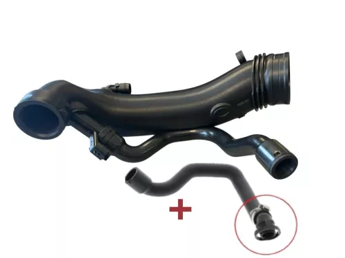 SCHLAUCHSCHELLE AUF VENTILDECKEL/ BT 1.6 16V 4CYL 5FV 5F02 EP6CDT